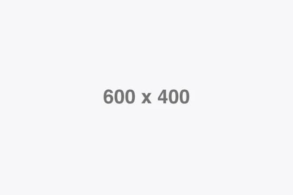 User-Friendly App Interface